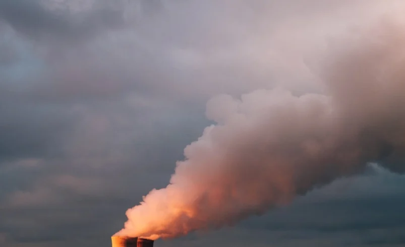 Pollution Has Killed Five Times as Many People as COVID